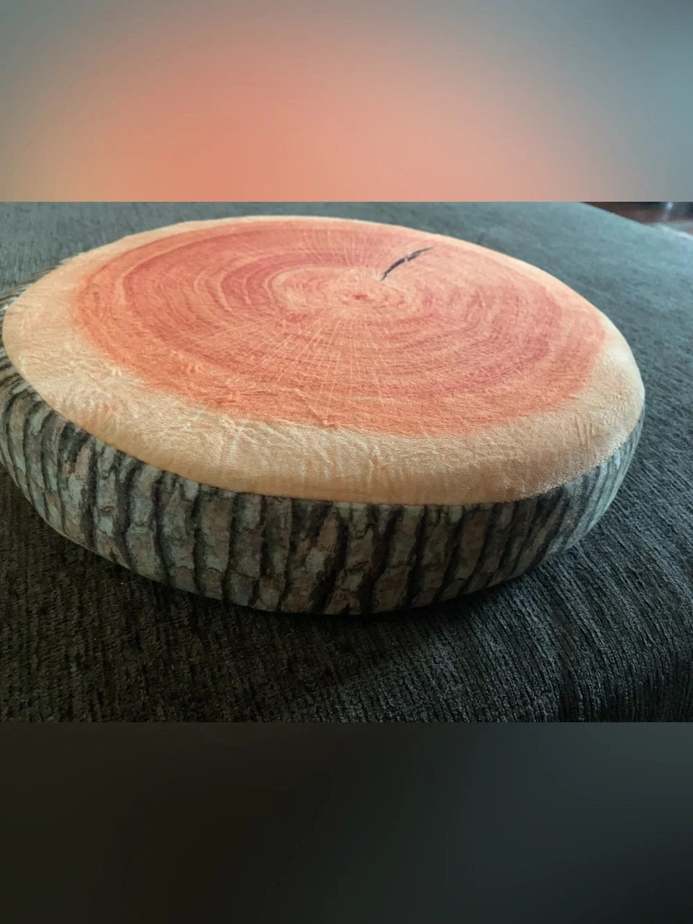 Round Wood Slice Decorative Pillow